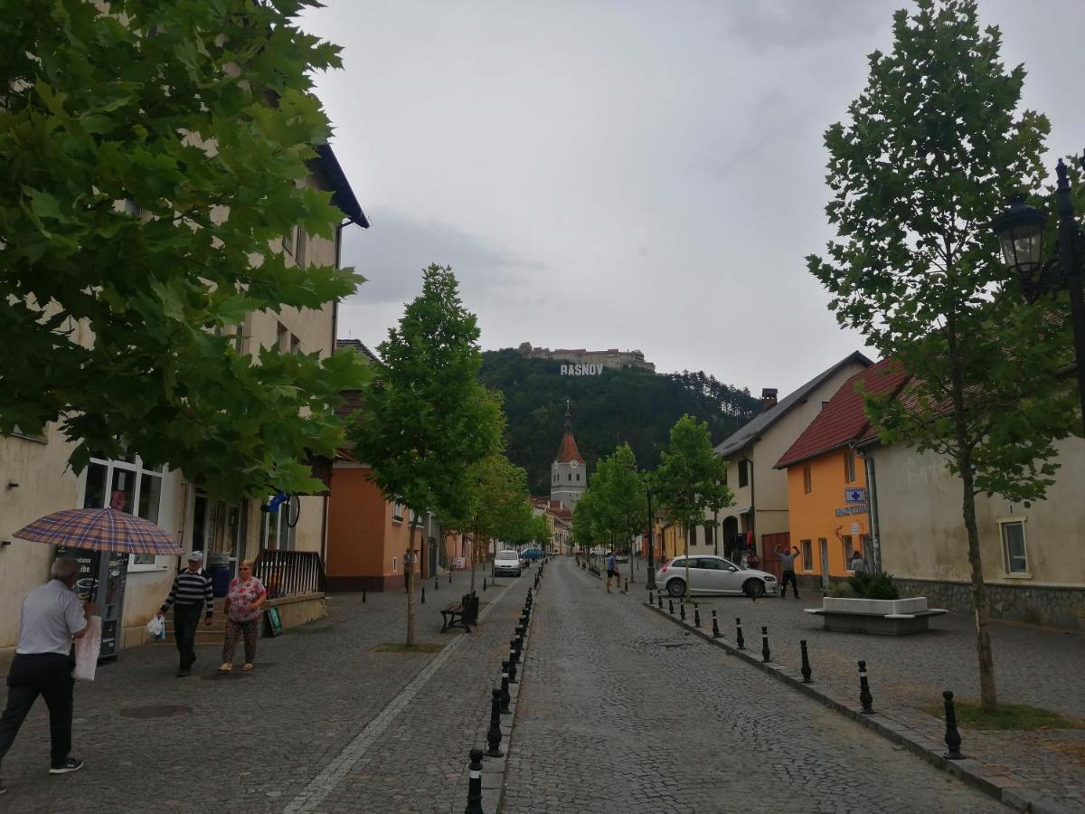 Rosenau Apartment Rîşnov Buitenkant foto